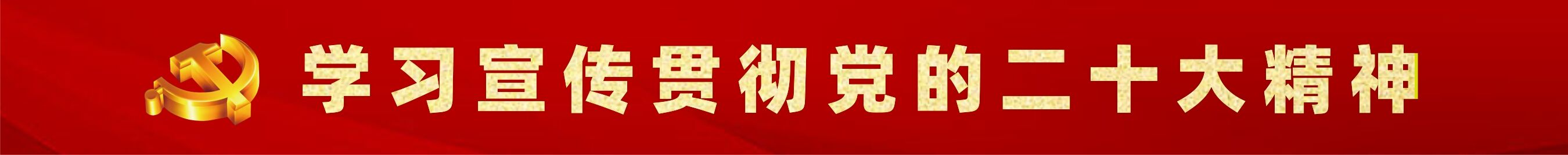 深入學習貫徹黨的二十大精神