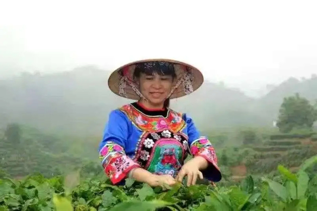 【梧州工匠】劉錦芳：鉆研和創(chuàng)新，帶領(lǐng)鄉(xiāng)親發(fā)家致富