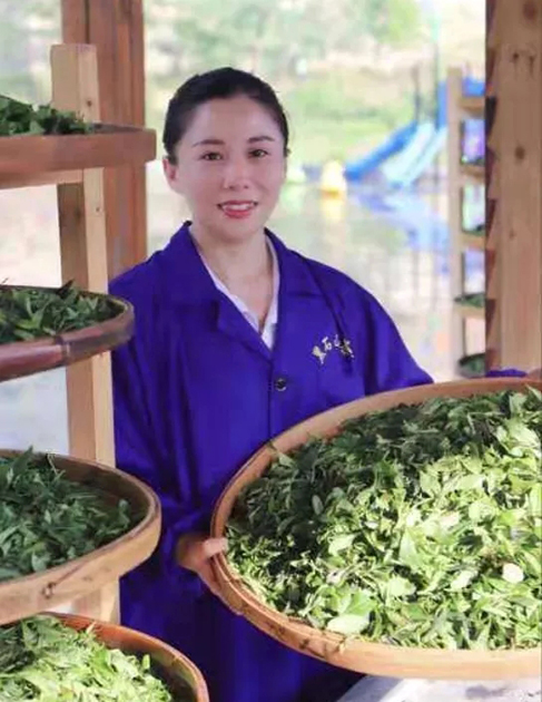 【梧州工匠】石濡菲：擇一茶，修一技，終一生