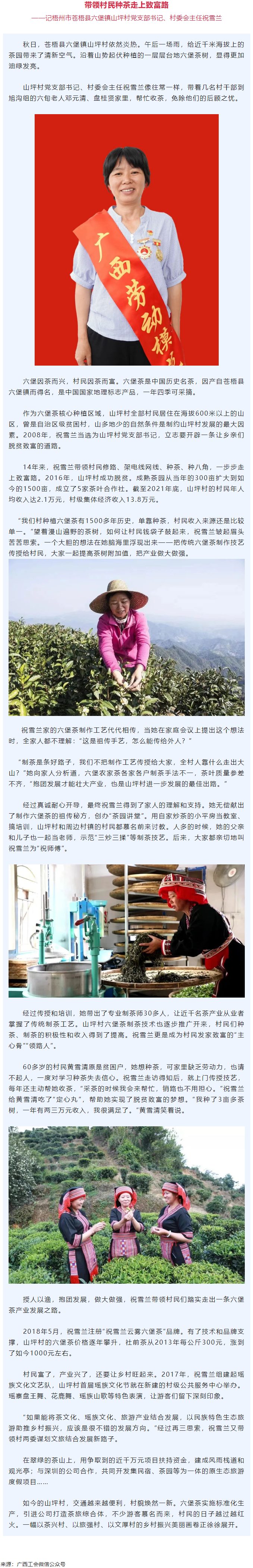 二十大代表風采丨祝雪蘭：帶領村民種茶走上致富路.png
