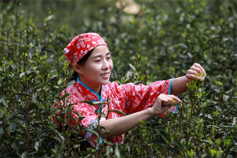 2022年“全國(guó)十佳農(nóng)民”揭曉 全國(guó)勞模石濡菲上榜！