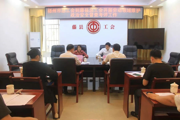 梧州市總工會領(lǐng)導到藤縣開展勞動領(lǐng)域維護政治安全督查考評工作