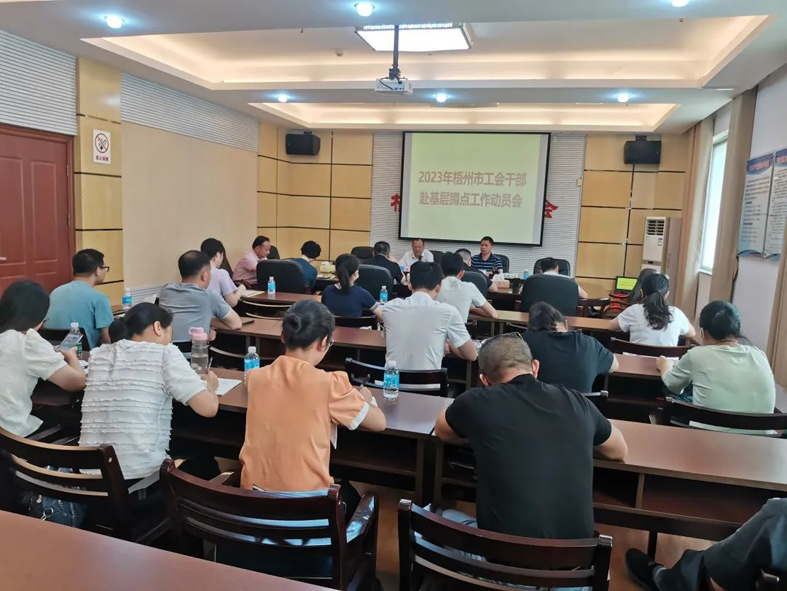 梧州市總工會(huì)召開(kāi)2023年梧州市工會(huì)干部赴基層蹲點(diǎn)工作動(dòng)員會(huì)