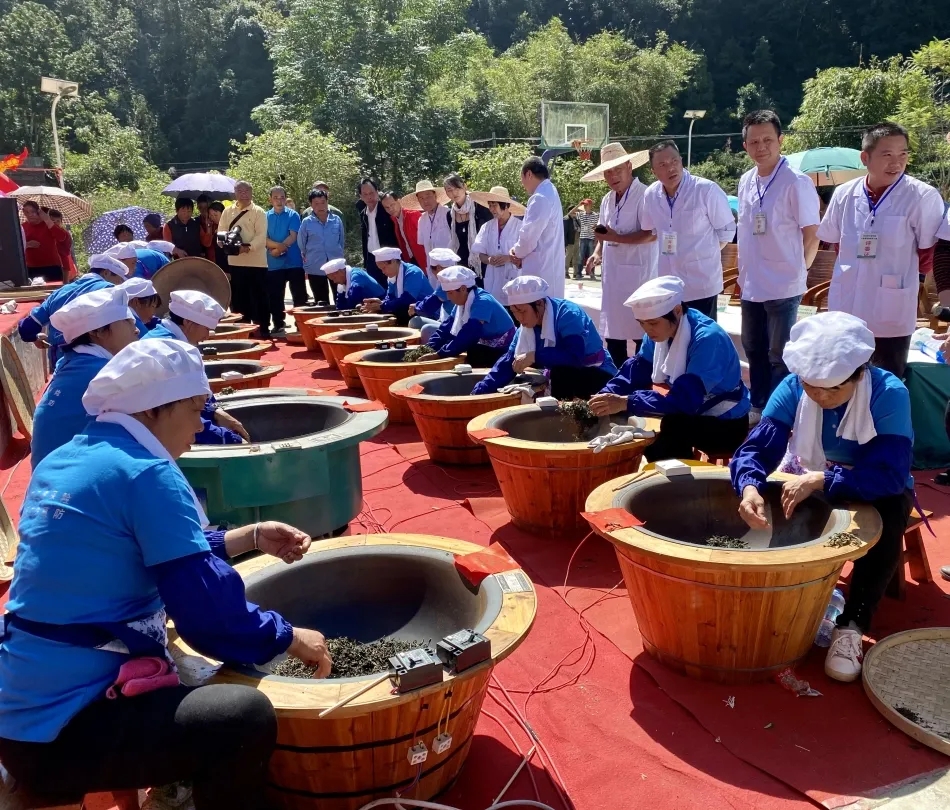 蒼梧縣總工會(huì)舉辦2020年村級(jí)傳統(tǒng)六堡茶制茶大賽
