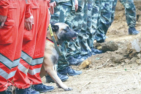 消防、武警、摩托車運輸隊等多方力量聯(lián)合搜救｜東航客機墜毀事故救援現(xiàn)場直擊