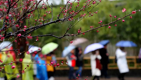 今日雨水！別忘了咱的老講究！