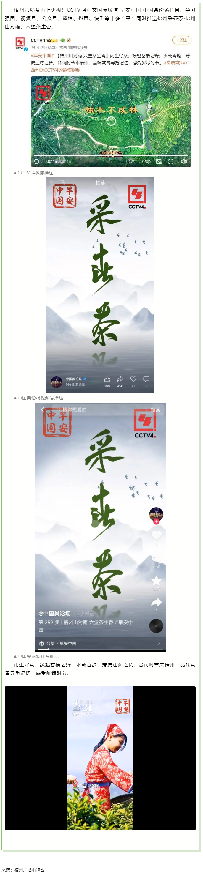 央視、學(xué)習(xí)強國等十多個平臺同時推送梧州采春茶&middot;梧州六堡茶.png