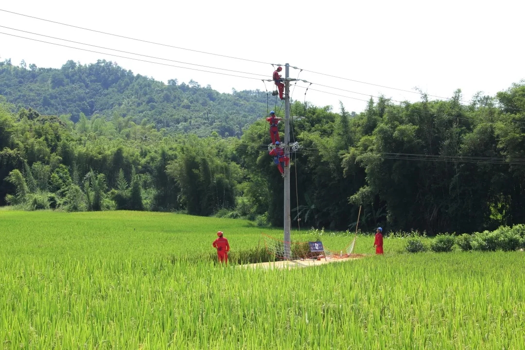  金秋時(shí)節(jié) 農(nóng)網(wǎng)改造施工忙