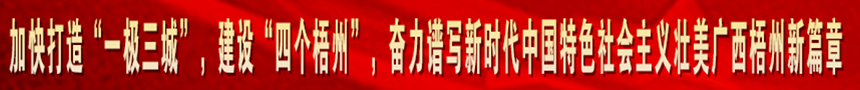 加快打造“一級三城市”，建設(shè)“四個梧州”，奮力譜寫新時代中國特色社會主義壯美廣西梧州新篇章
