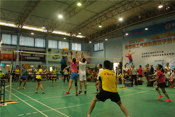 梧州市總工會舉辦2015年“龍魚涂料杯”全市職工氣排球男女子混合比賽--祝迪攝.jpg